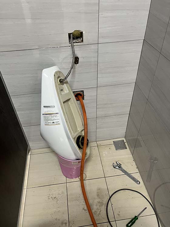 �n��q�p�K��