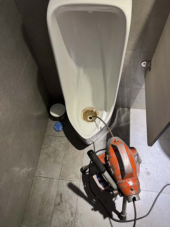 �n��q�p�K��