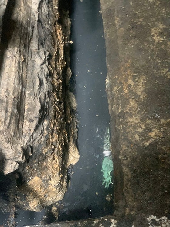 �������M����