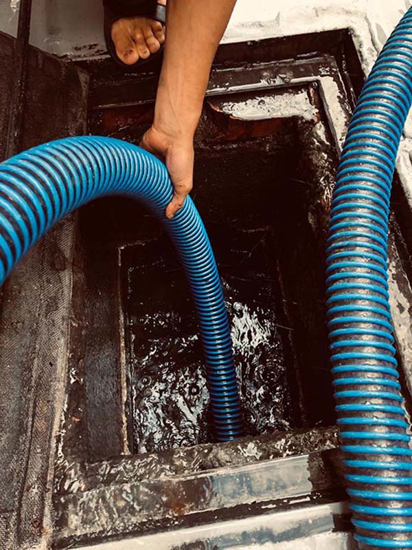 �k���ϲM����