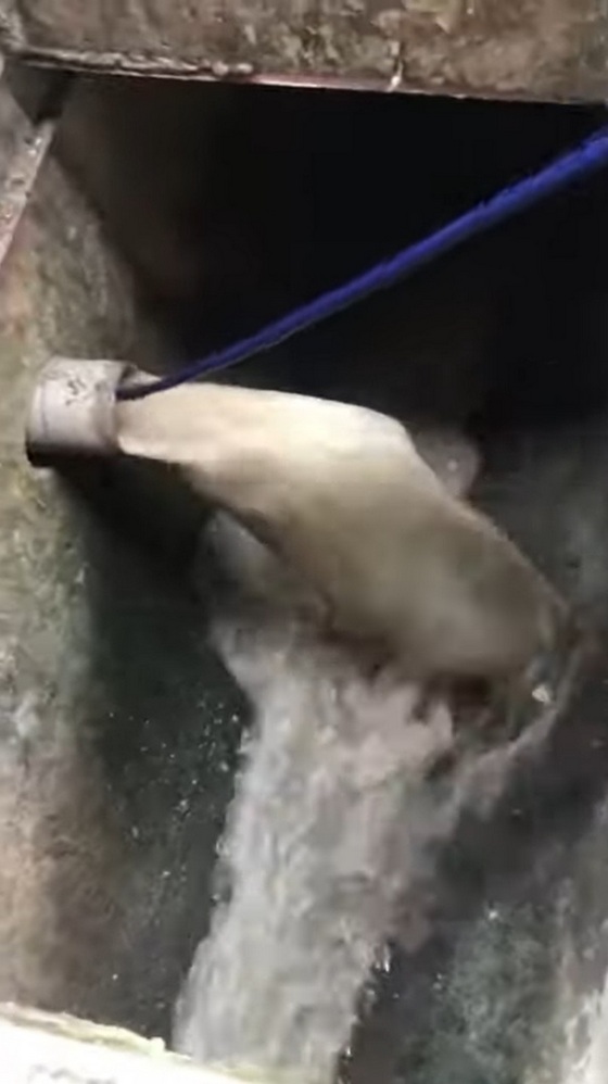 嘉義水刀通水管-社區水溝排水管疏通